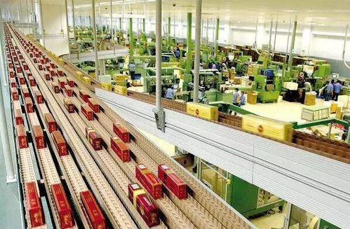 高考倒計時50天，揭秘那些冷門但潛力無限的“技術+服務”專業